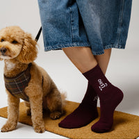 Burgundy red bamboo socks by Leiho, photo 2