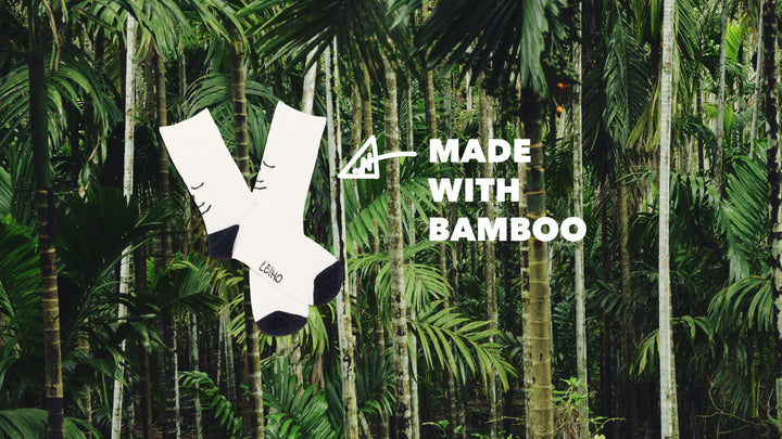 Why We Chose to Use Bamboo