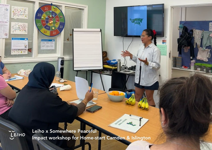 Leiho x Somewhere Peaceful Group Coaching Workshop